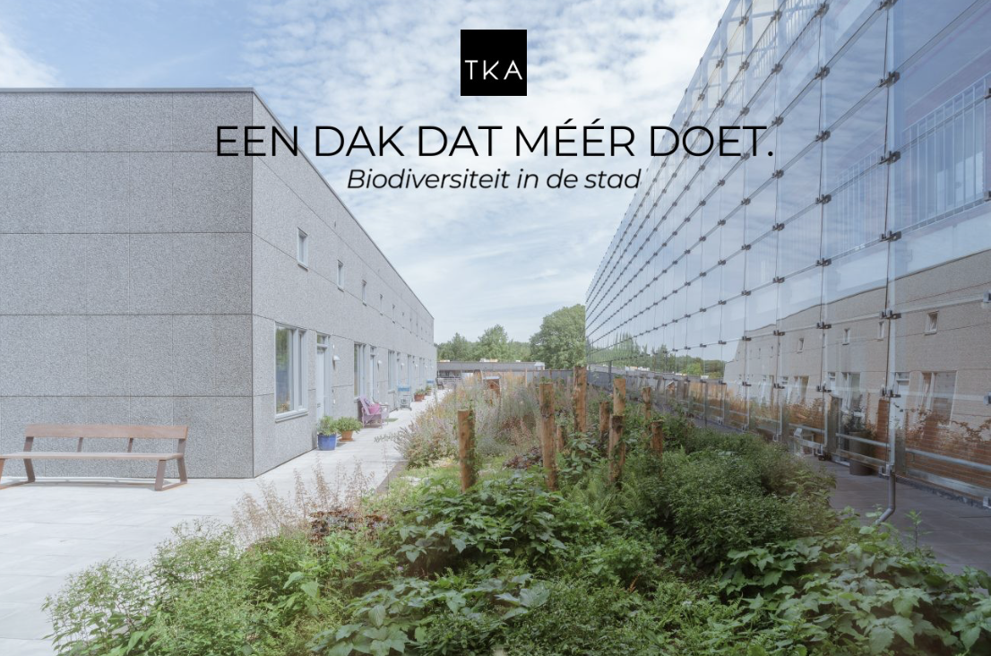 TE KIEFTE beeld 4